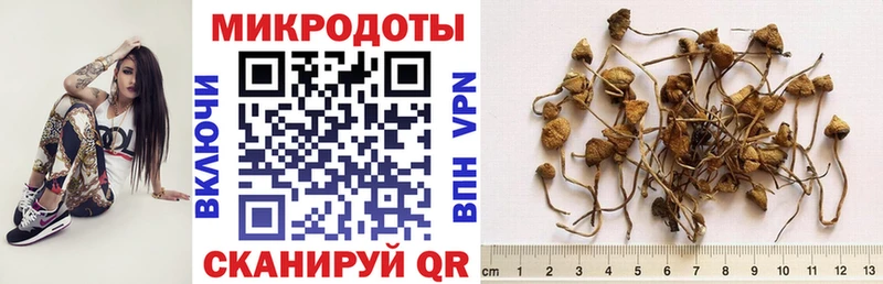 Галлюциногенные грибы Magic Shrooms  как найти закладки  Нязепетровск 